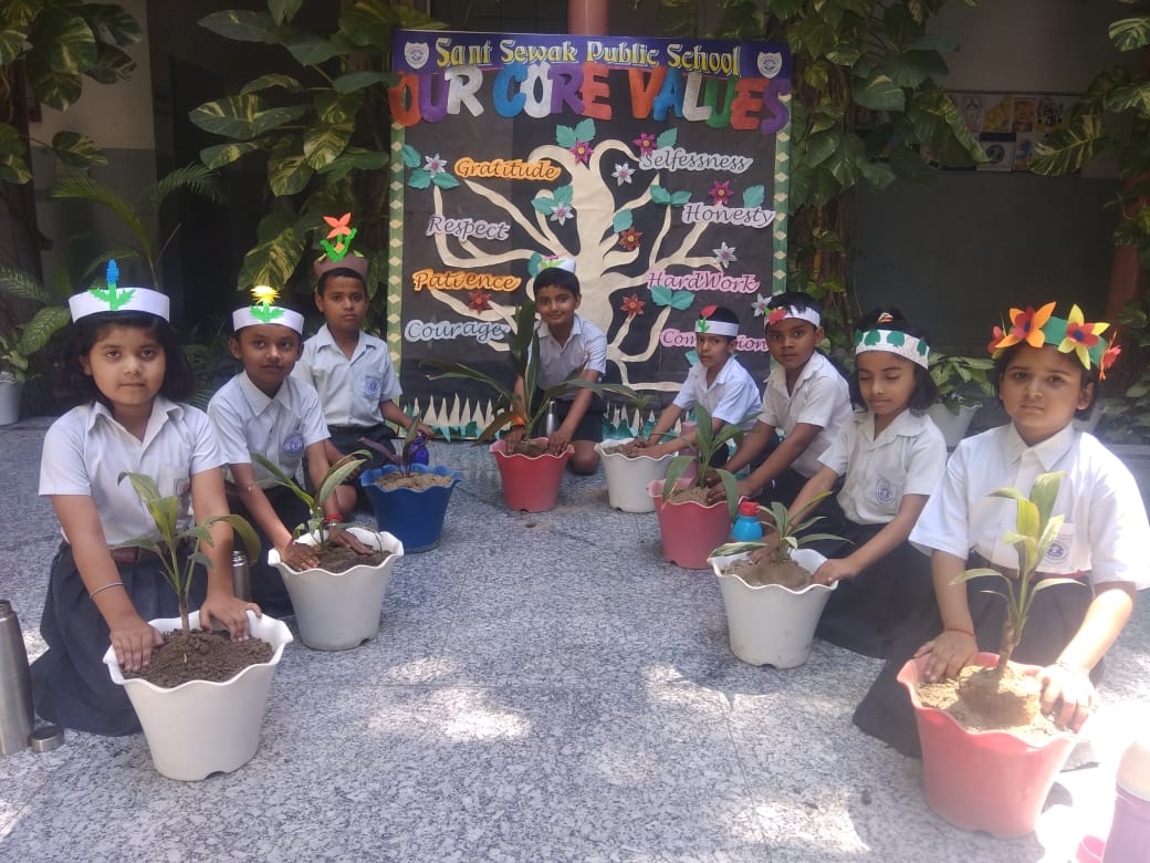 Tree plantation